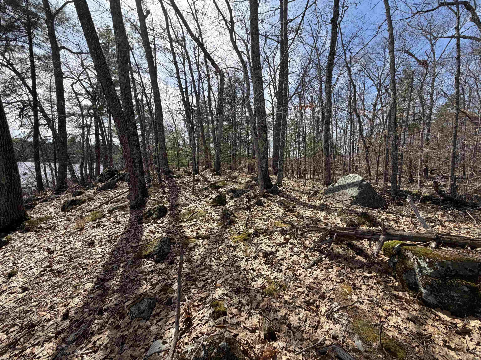 65.4 Gansy Island Moultonborough NH 03254