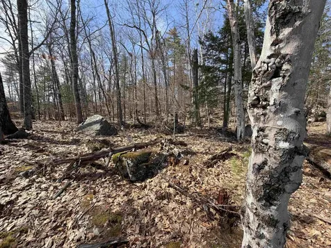 65.4 Gansy Island Moultonborough NH 03254