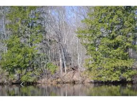 65.4 Gansy Island Moultonborough NH 03254
