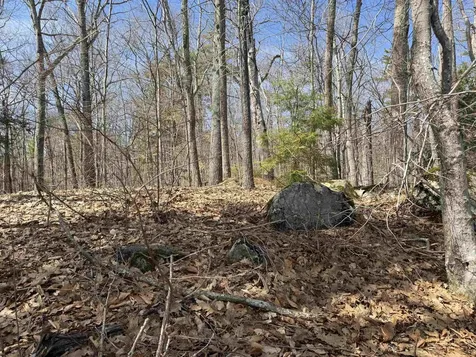 65.4 Gansy Island Moultonborough NH 03254