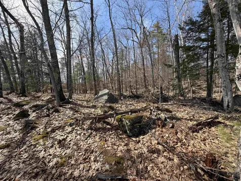 65.4 Gansy Island Moultonborough NH 03254
