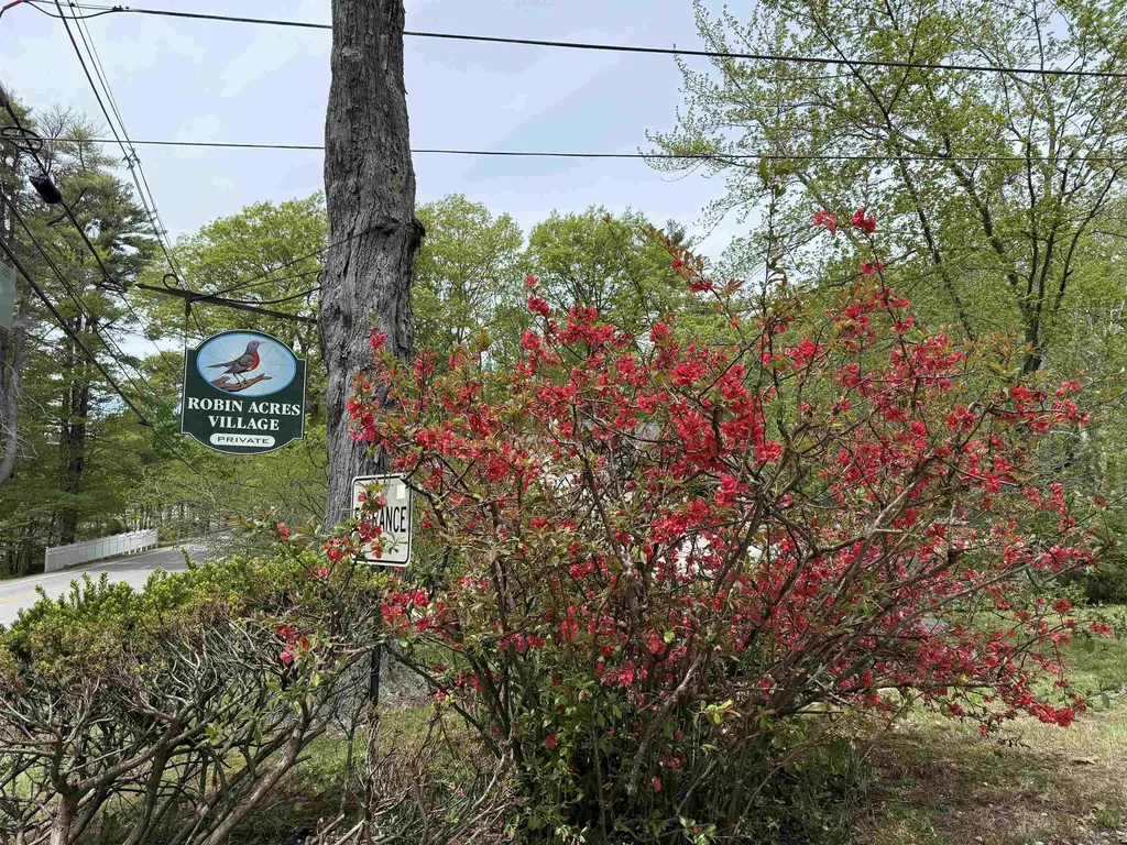 1 Robin Acres Drive Wolfeboro NH 03894