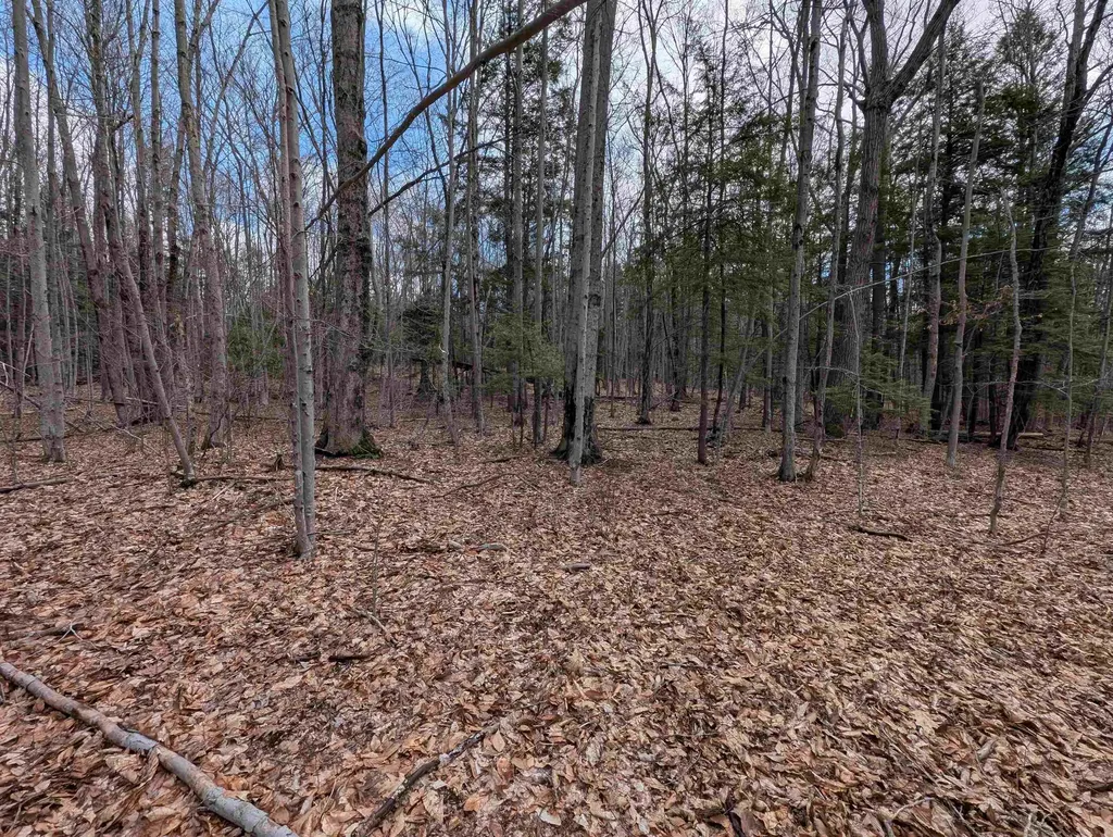 Map 41 Lot 21 Jewett Road Weare NH 03281