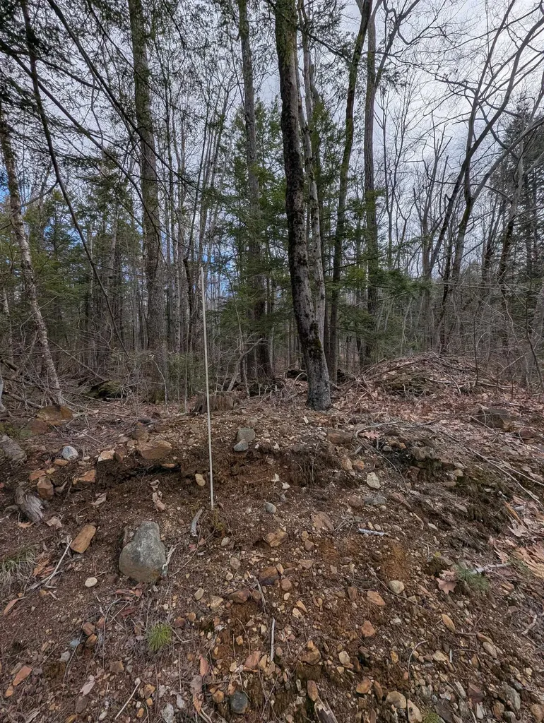 Map 41 Lot 21 Jewett Road Weare NH 03281