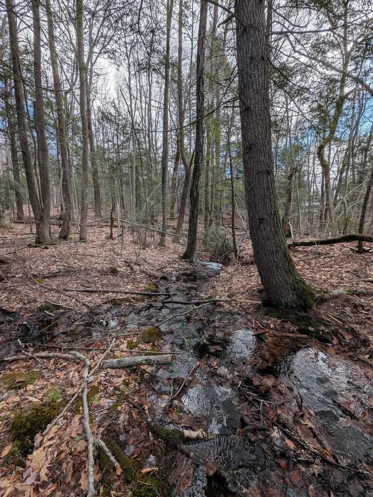 Map 41 Lot 21 Jewett Road Weare NH 03281
