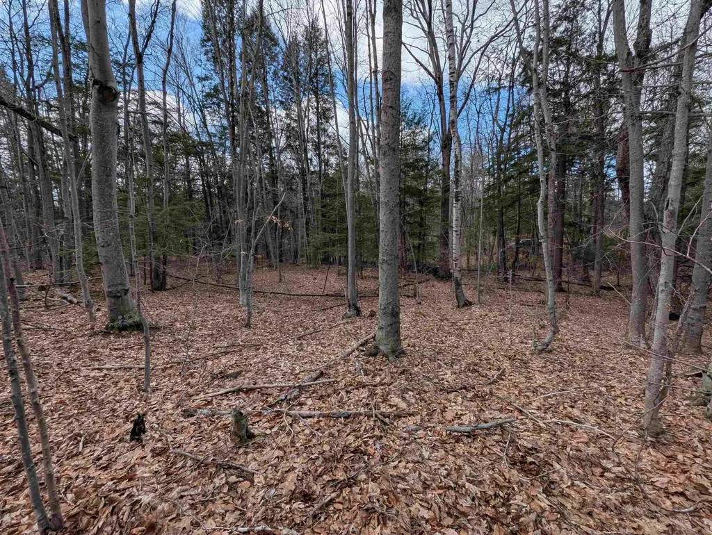 Map 41 Lot 21 Jewett Road Weare NH 03281