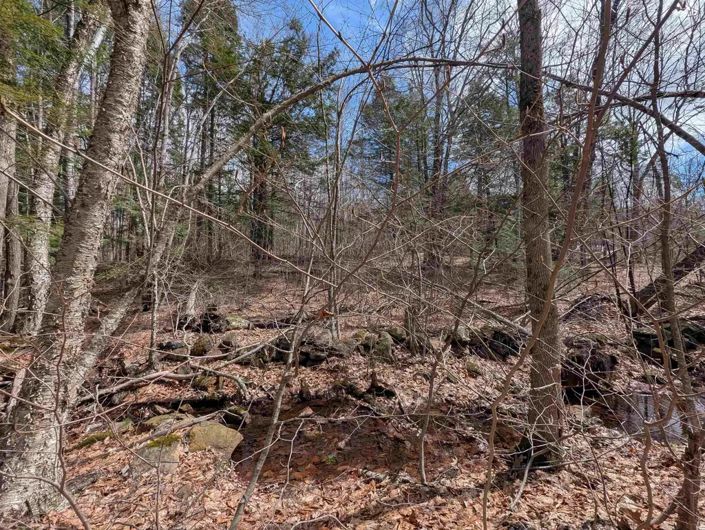 Map 41 Lot 21 Jewett Road Weare NH 03281