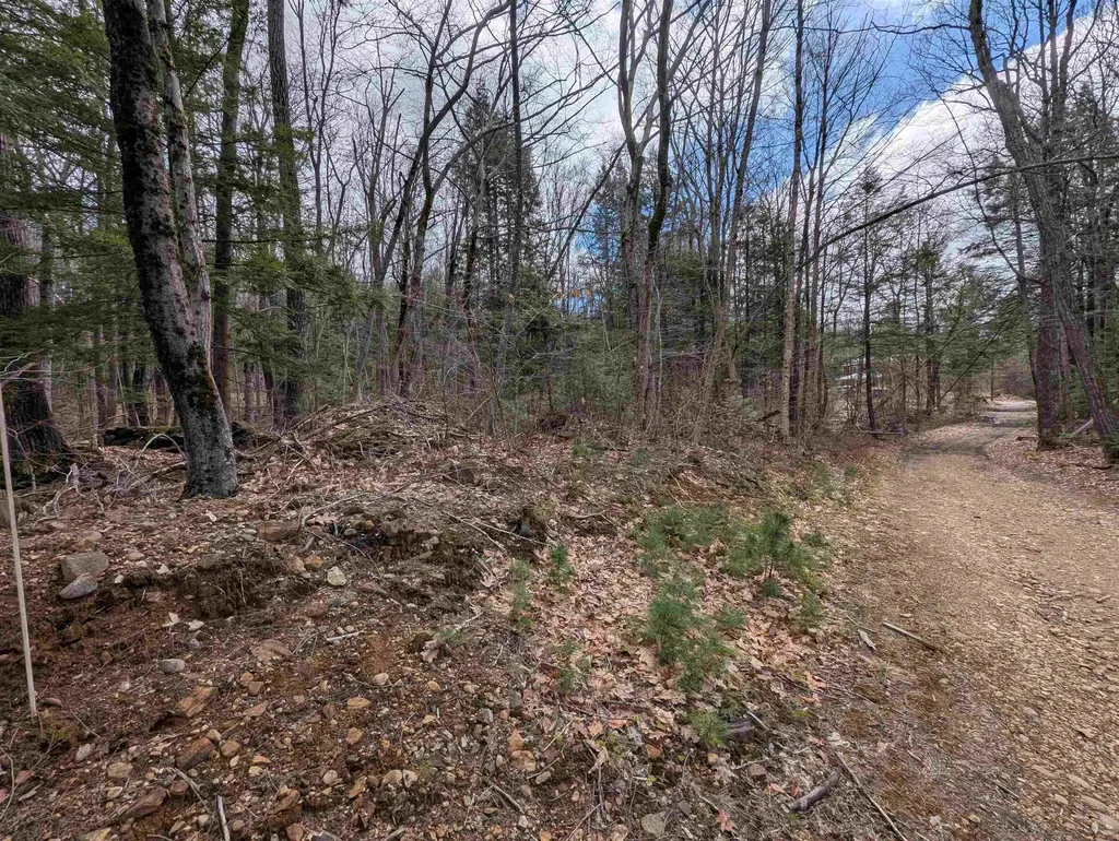 Map 41 Lot 21 Jewett Road Weare NH 03281