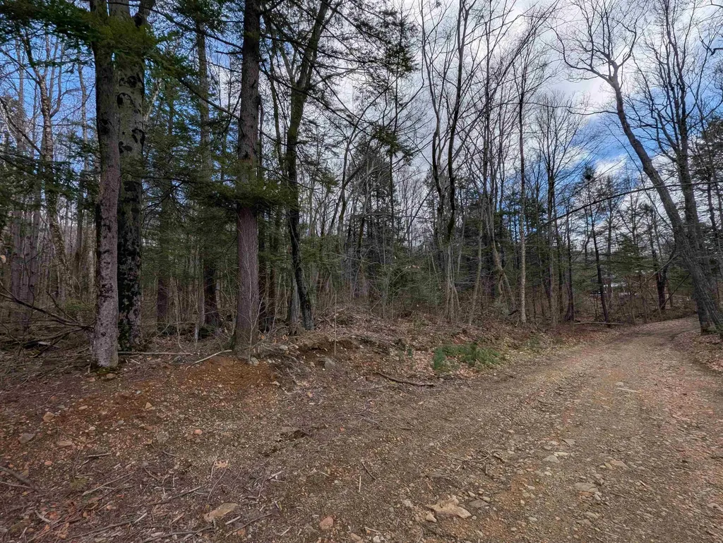 Map 41 Lot 21 Jewett Road Weare NH 03281