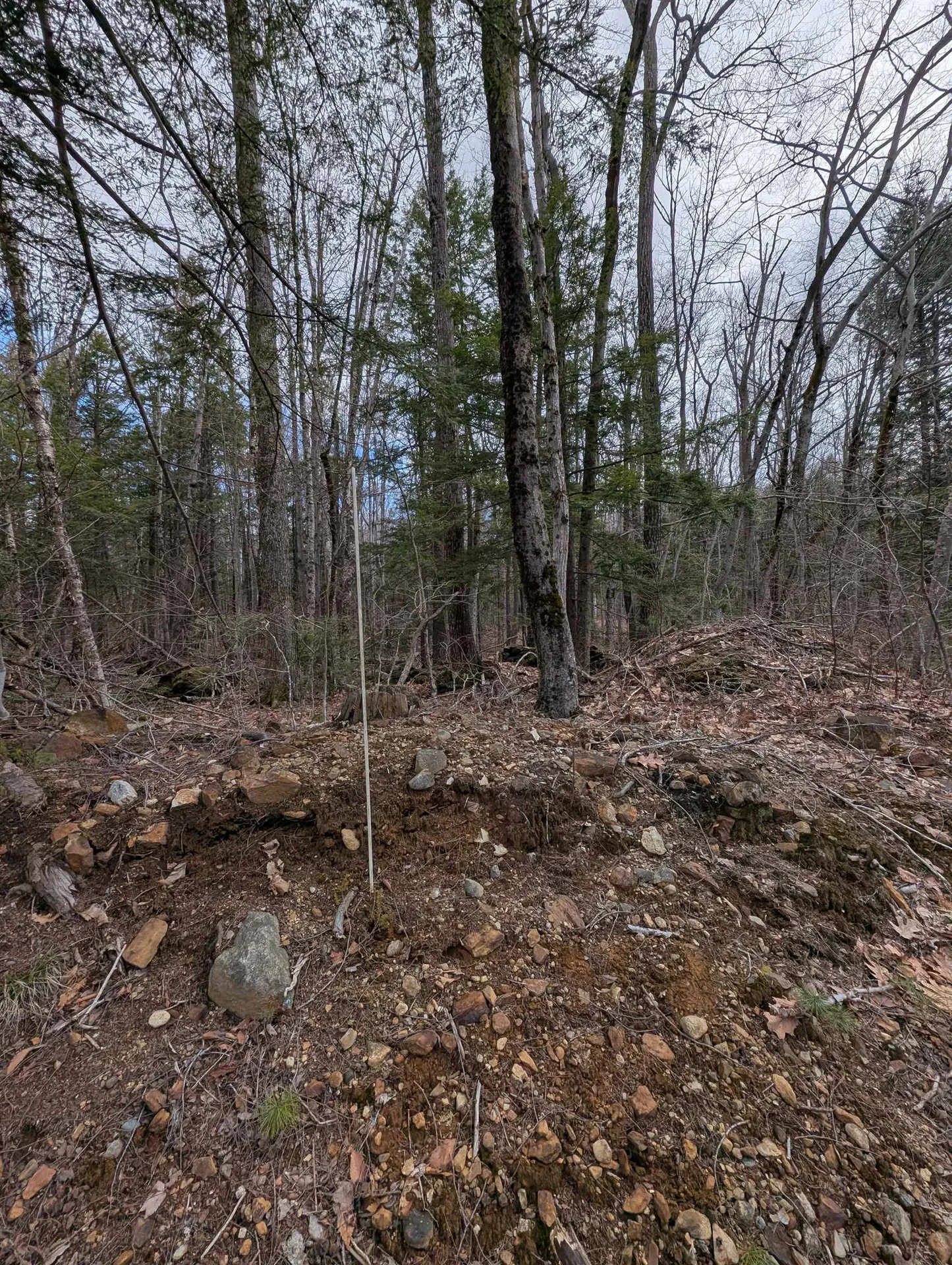 Map 41 Lot 21 Jewett Road Weare NH 03281
