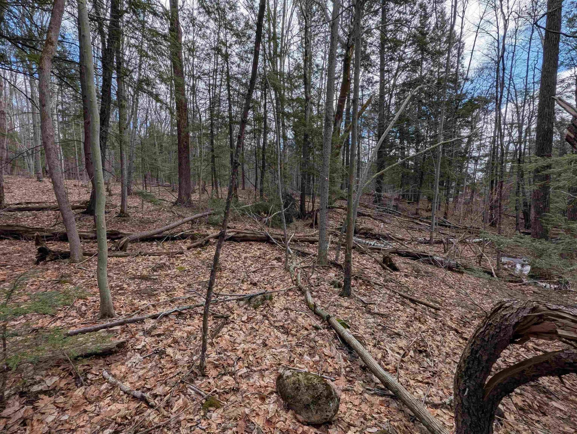 Map 41 Lot 21 Jewett Road Weare NH 03281