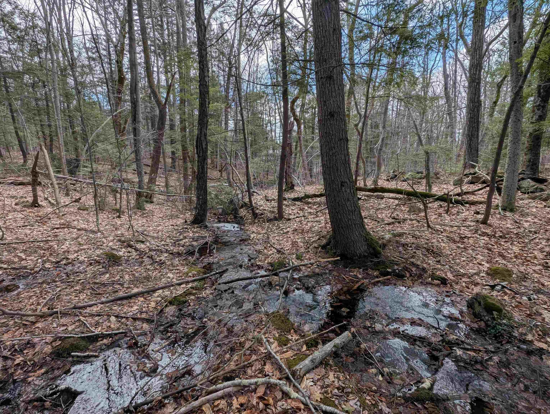 Map 41 Lot 21 Jewett Road Weare NH 03281
