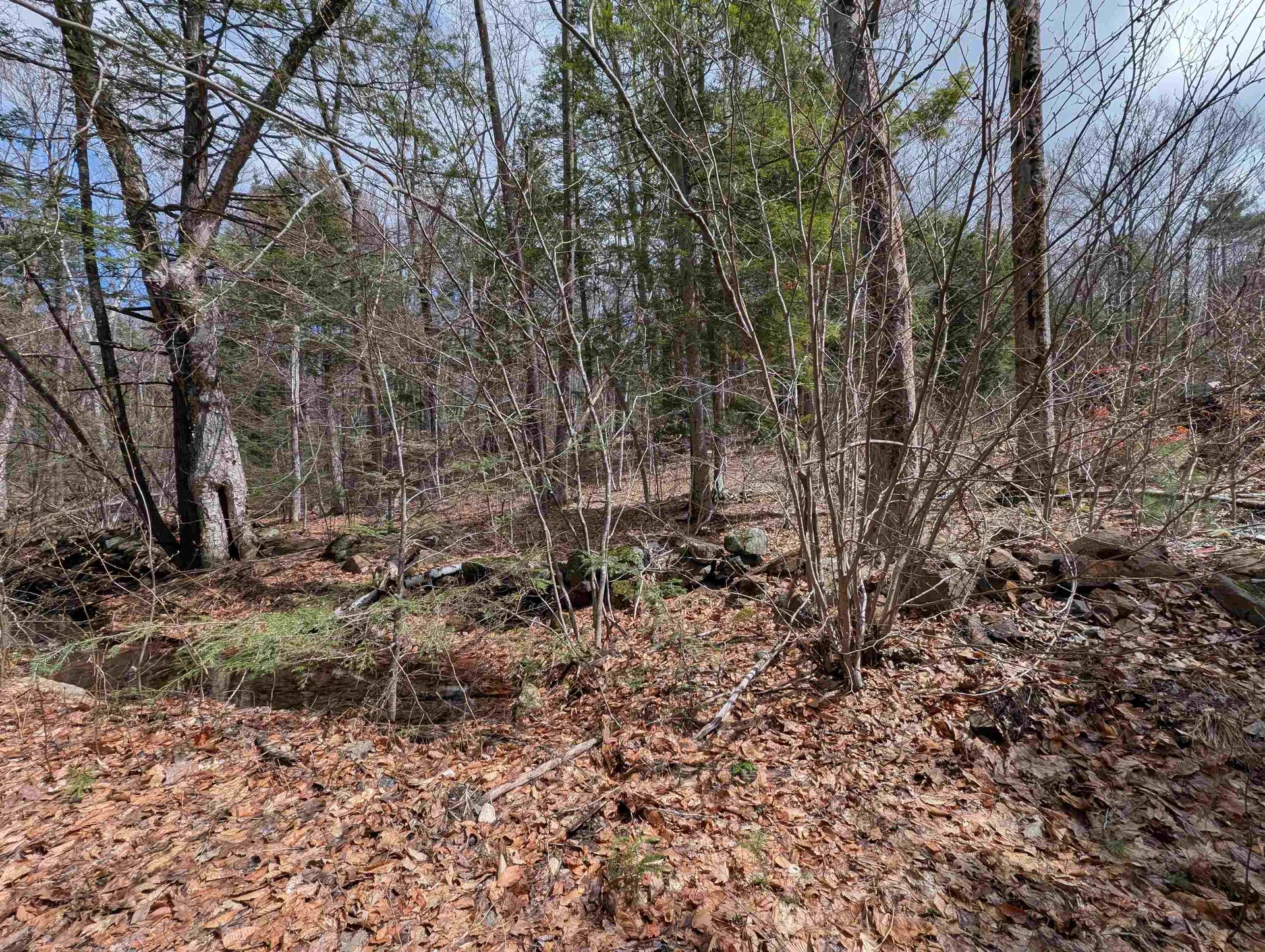 Map 41 Lot 21 Jewett Road Weare NH 03281