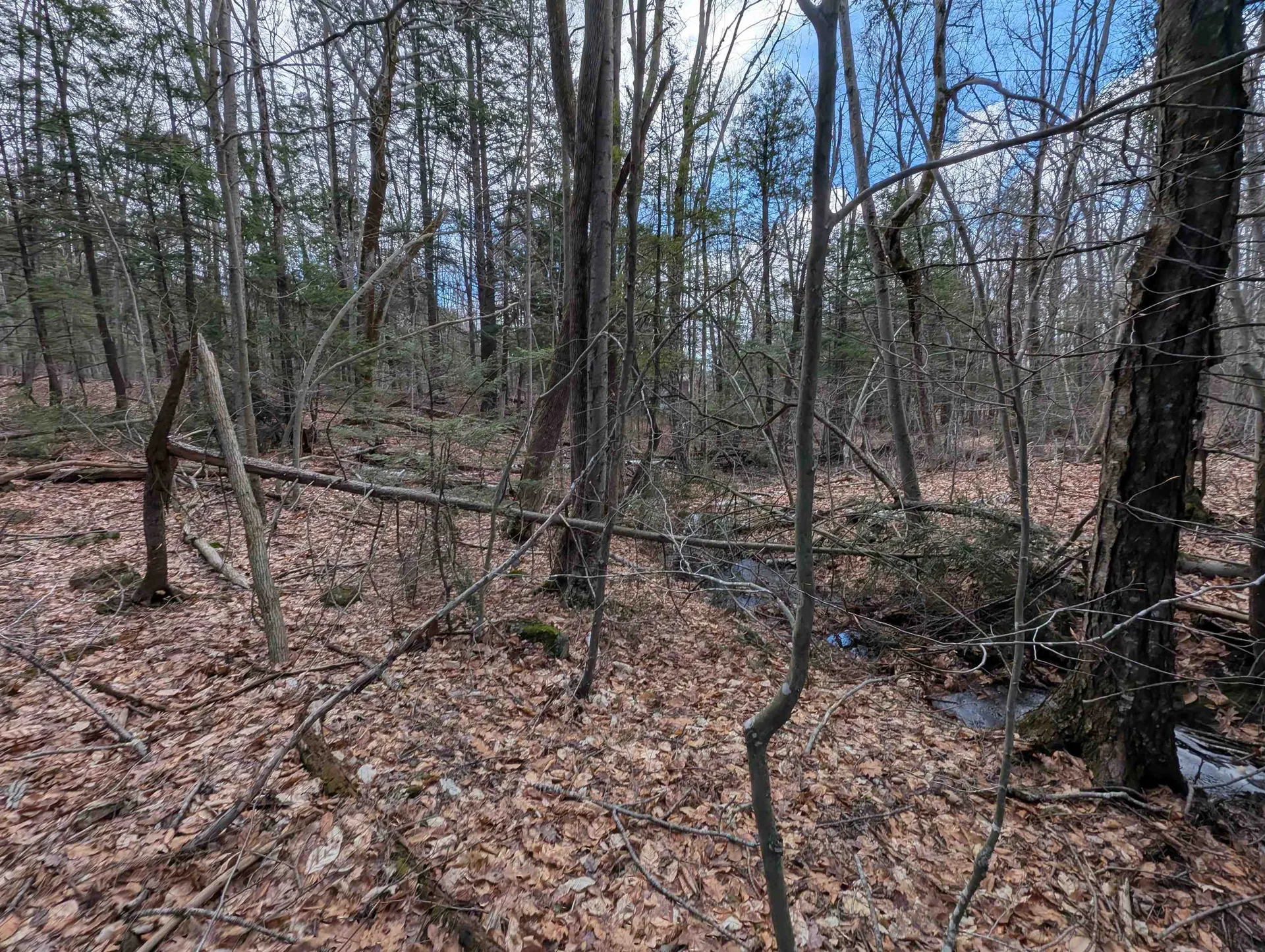 Map 41 Lot 21 Jewett Road Weare NH 03281
