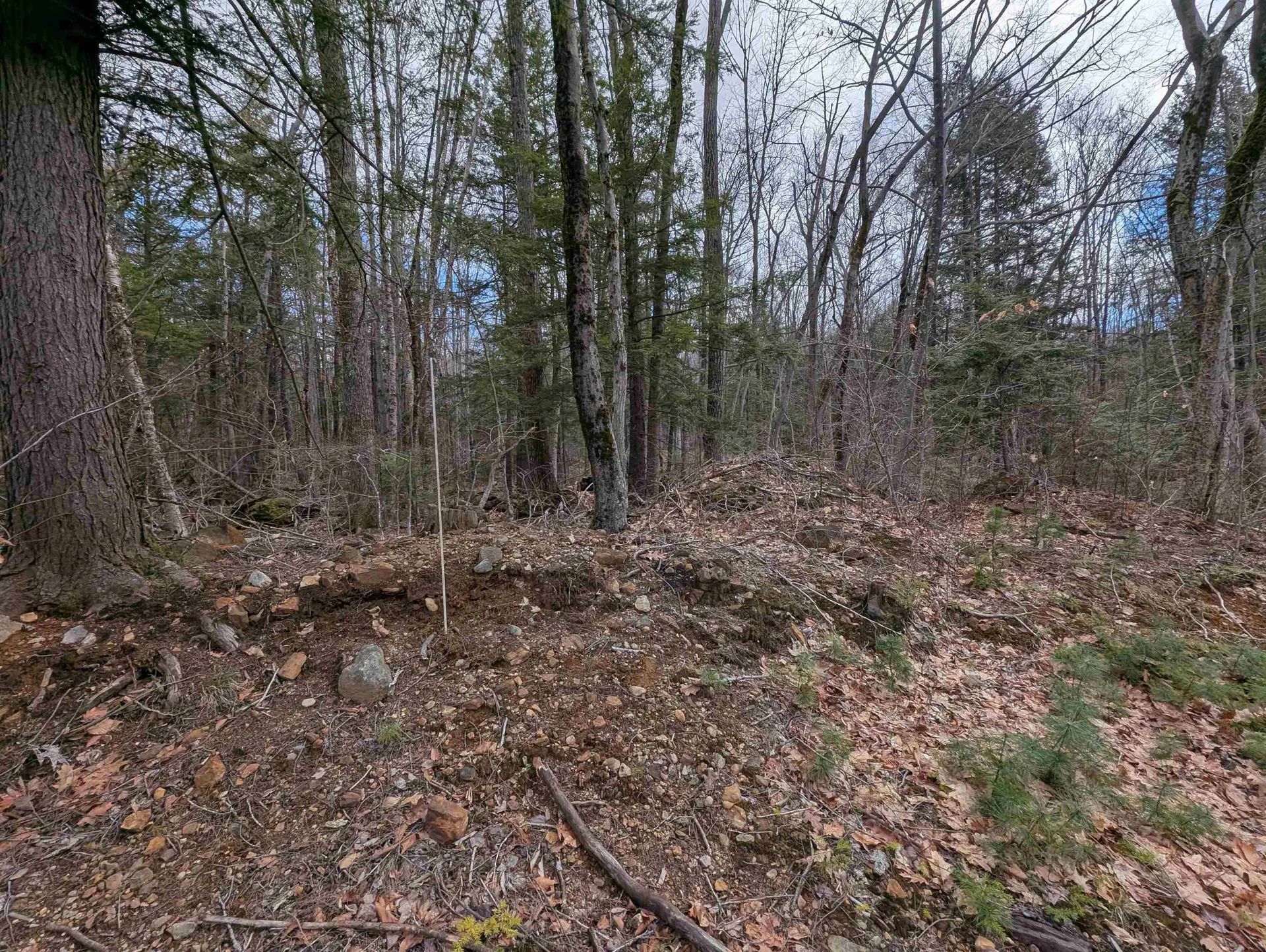 Map 41 Lot 21 Jewett Road Weare NH 03281