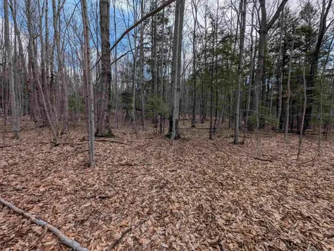 Map 41 Lot 21 Jewett Road Weare NH 03281