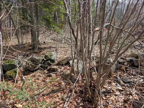 Map 41 Lot 21 Jewett Road Weare NH 03281