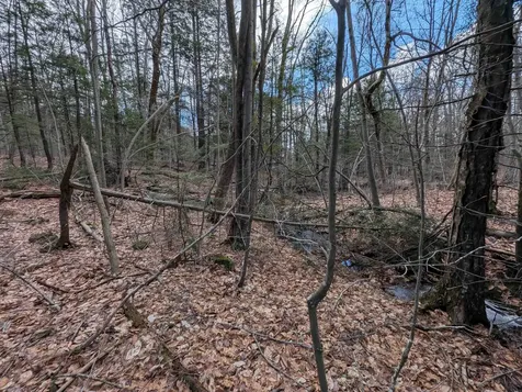 Map 41 Lot 21 Jewett Road Weare NH 03281