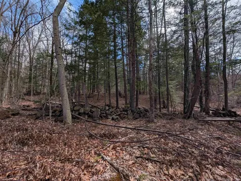 Map 41 Lot 21 Jewett Road Weare NH 03281
