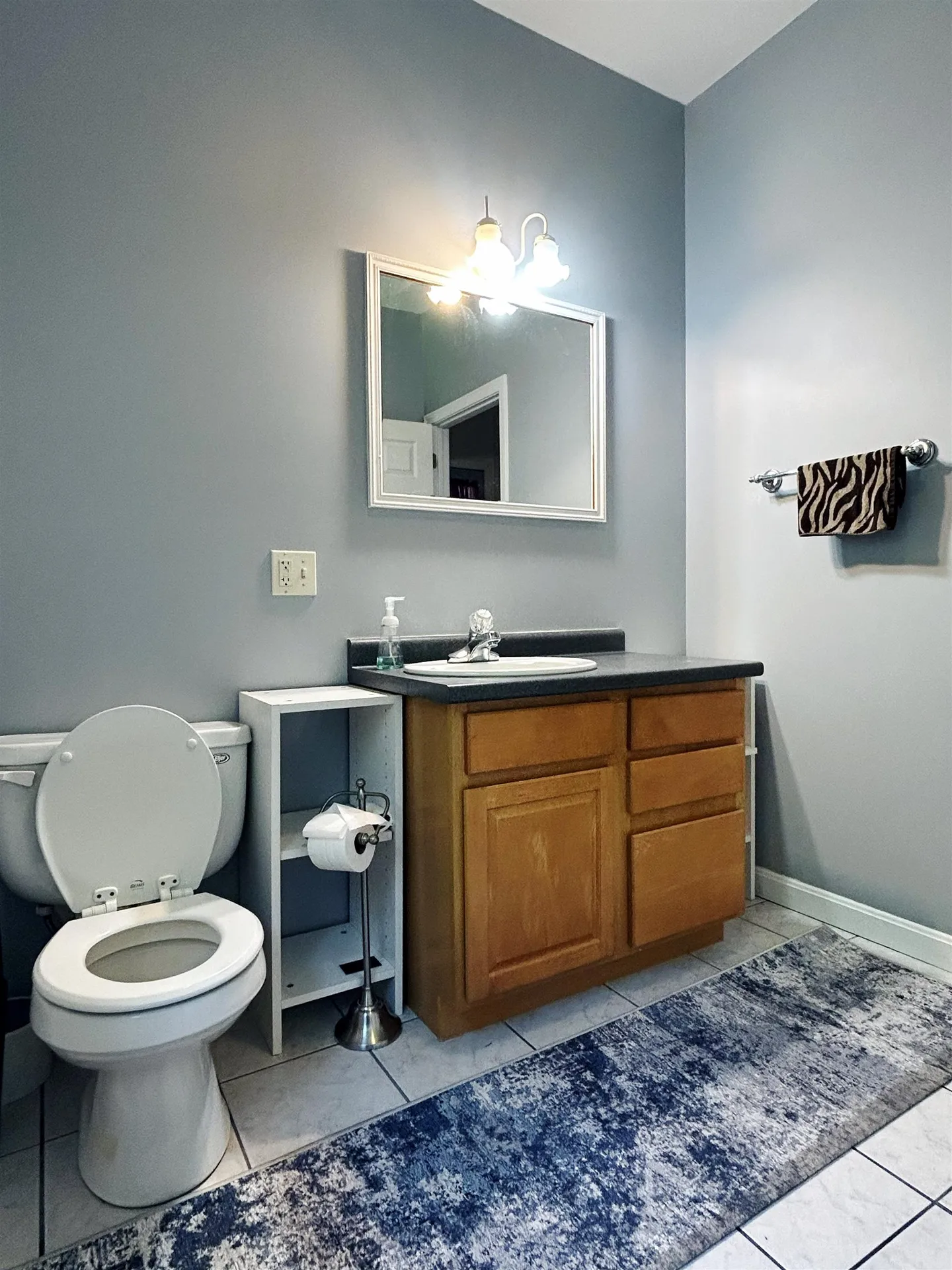 250 Grapevine Road Dunbarton NH 03045