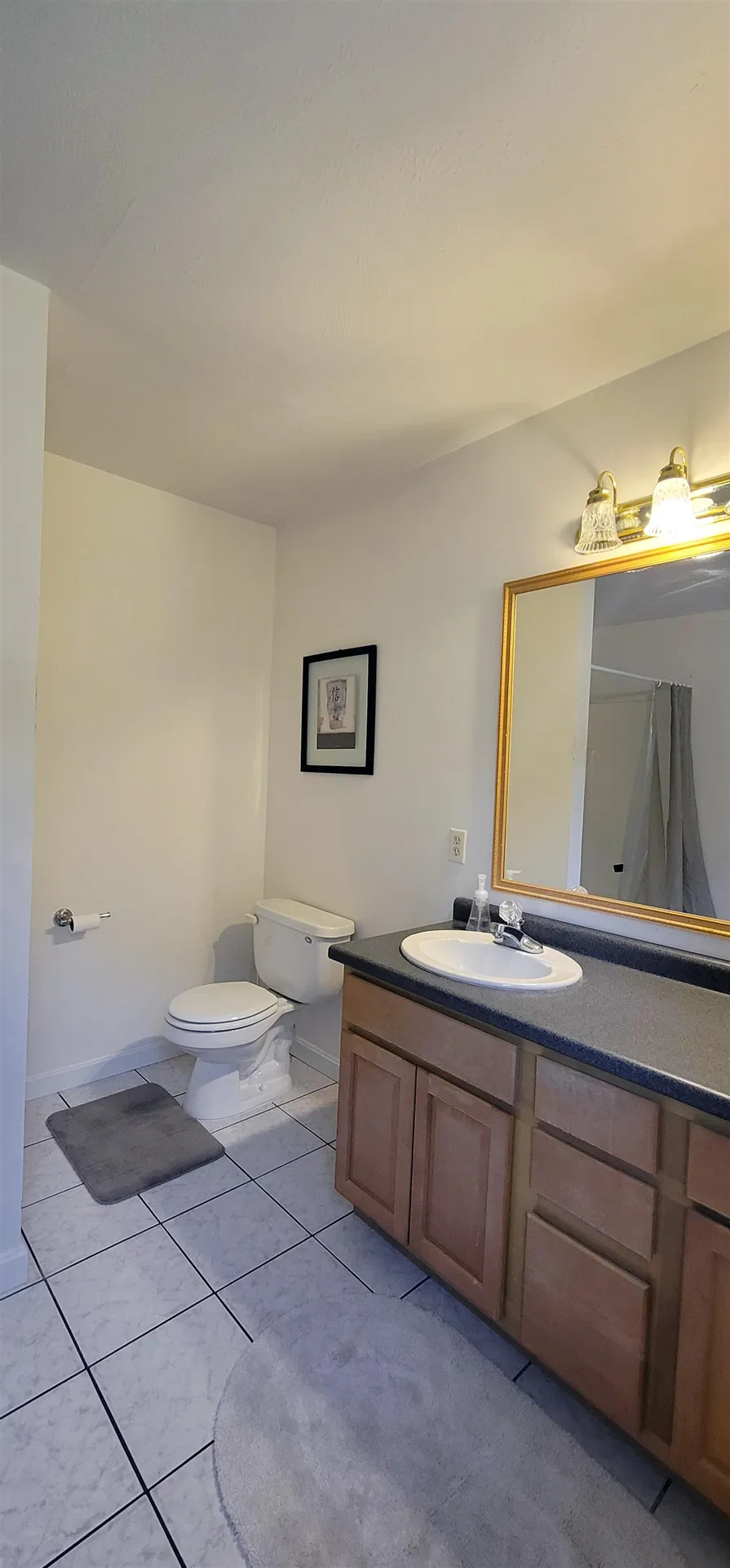 250 Grapevine Road Dunbarton NH 03045