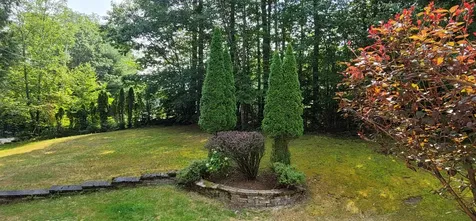 250 Grapevine Road Dunbarton NH 03045