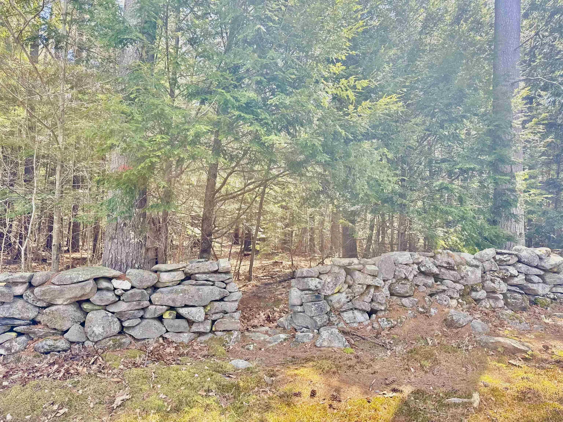 71 Grouse Lane Weathersfield VT 05151