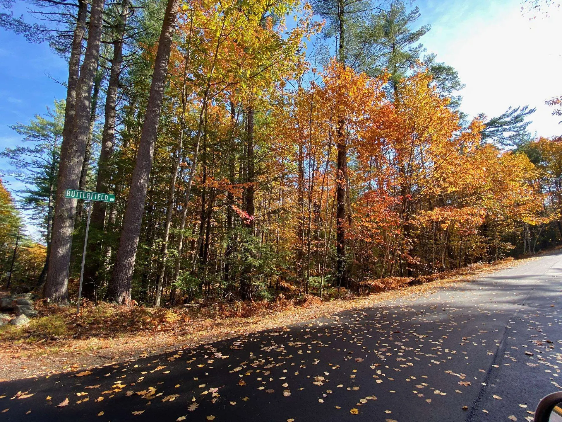 69 Butterfield Road Center Harbor NH 03226