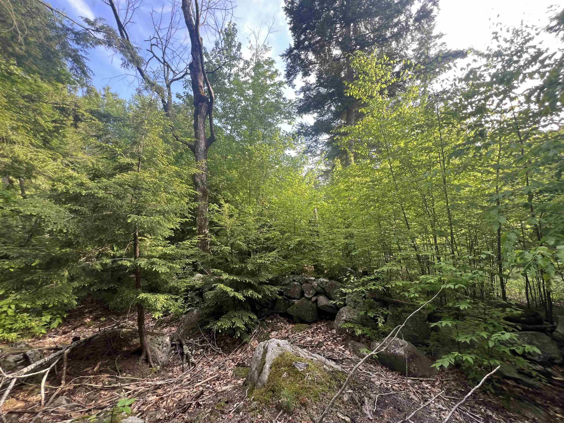 7199 Shaker Road Loudon NH 03307