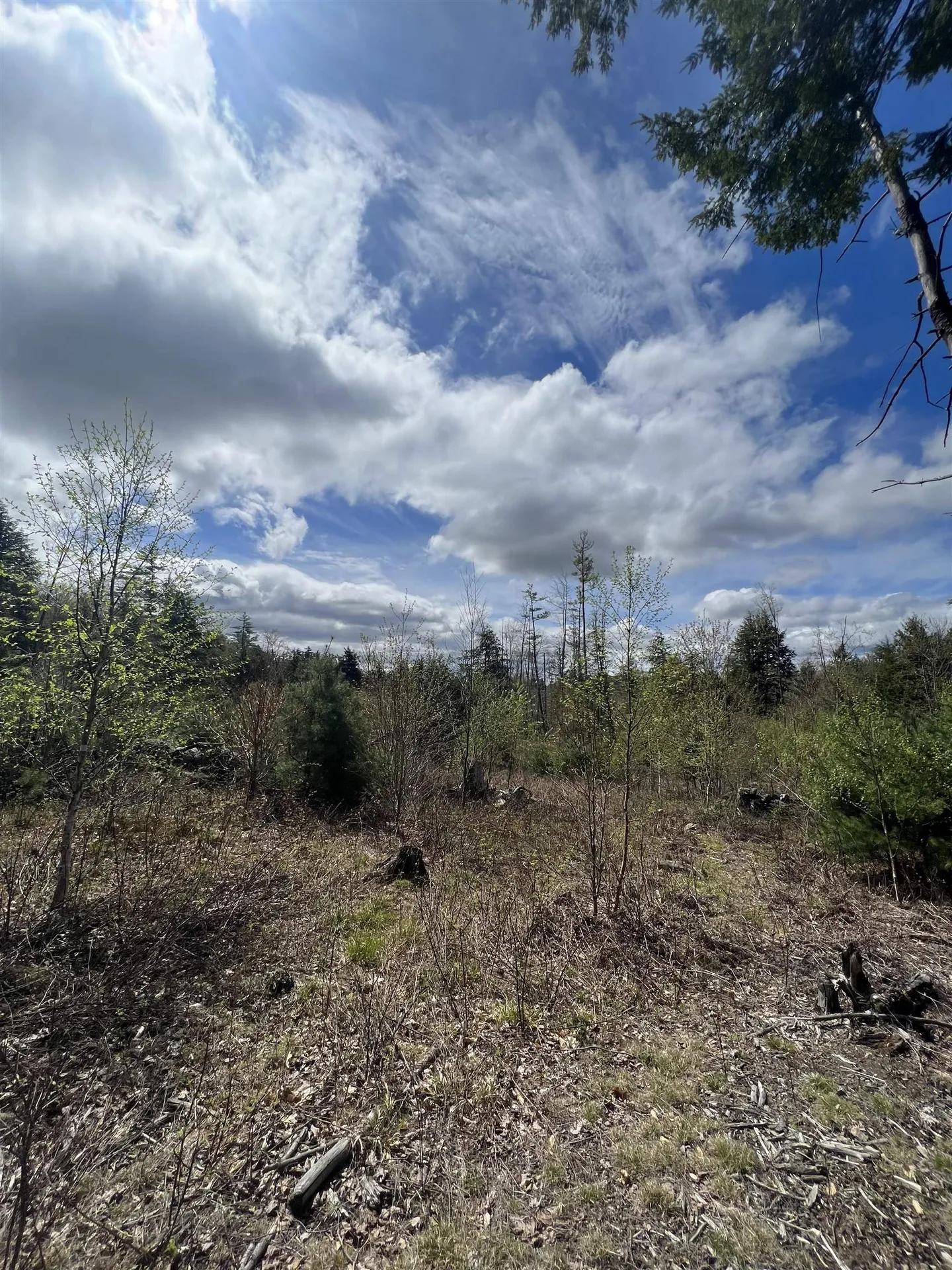 7199 Shaker Road Loudon NH 03307