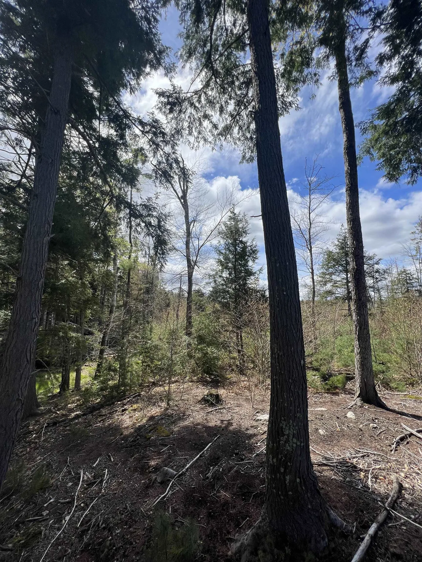 7199 Shaker Road Loudon NH 03307