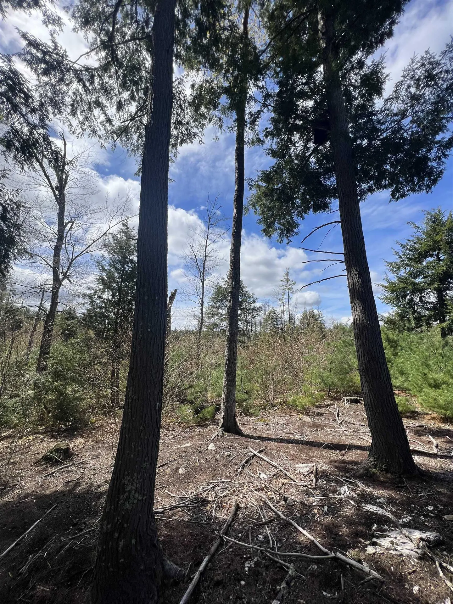 7199 Shaker Road Loudon NH 03307