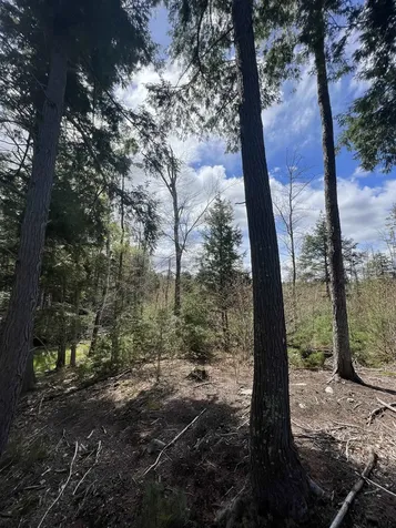 7199 Shaker Road Loudon NH 03307