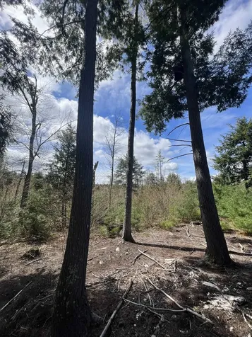 7199 Shaker Road Loudon NH 03307