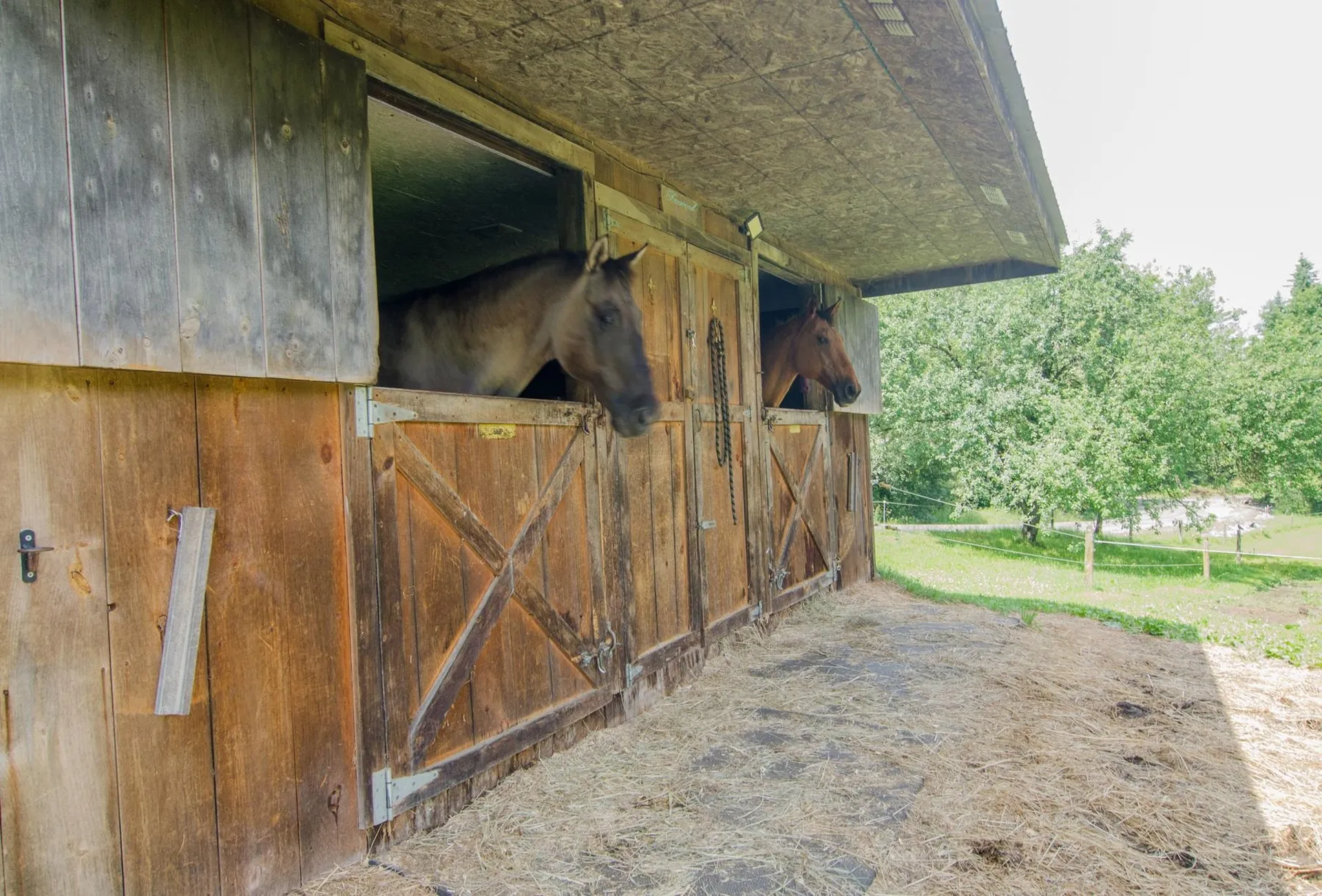 488 Kittredge Road Barton VT 05822