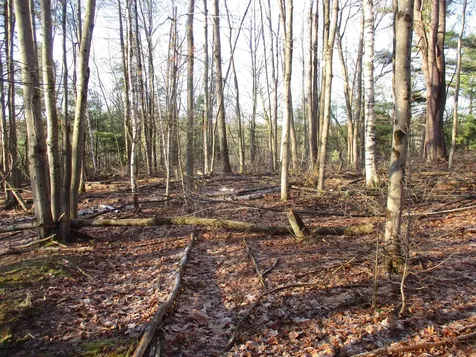 5A-10-5 Farley Ball Road Temple NH 03084