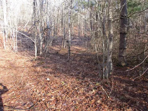 5A-10-5 Farley Ball Road Temple NH 03084