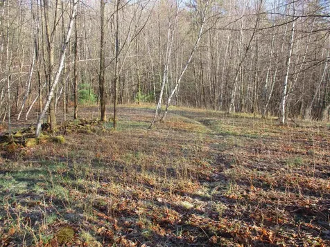 5A-10-5 Farley Ball Road Temple NH 03084