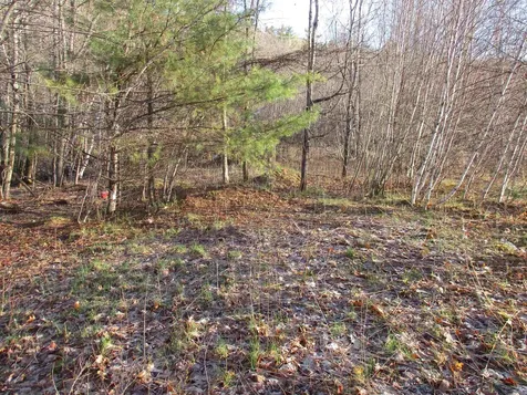 5A-10-5 Farley Ball Road Temple NH 03084