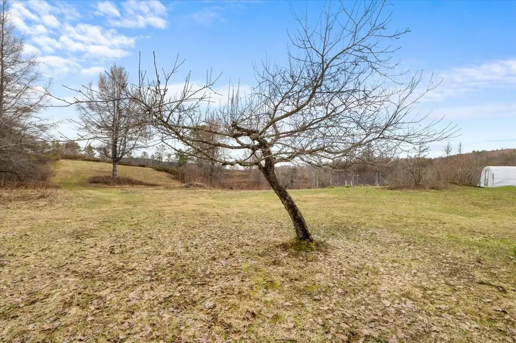 142 King Pond Road Woodbury VT 05650
