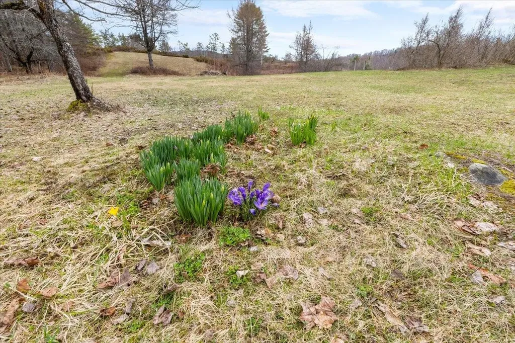142 King Pond Road Woodbury VT 05650