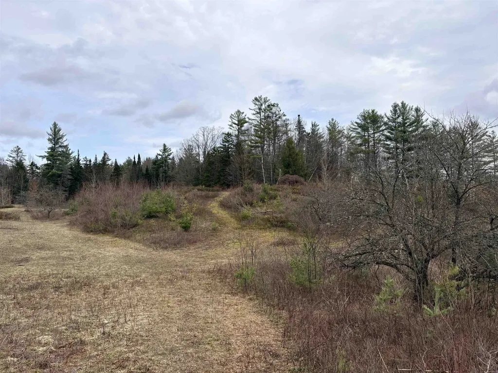 142 King Pond Road Woodbury VT 05650