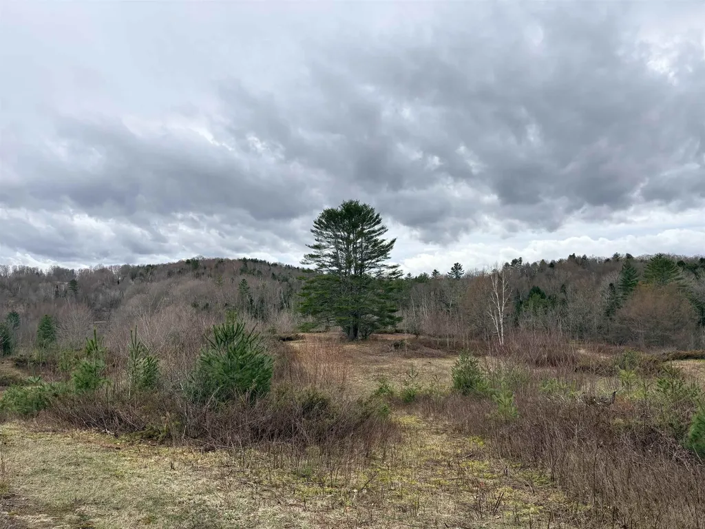 142 King Pond Road Woodbury VT 05650