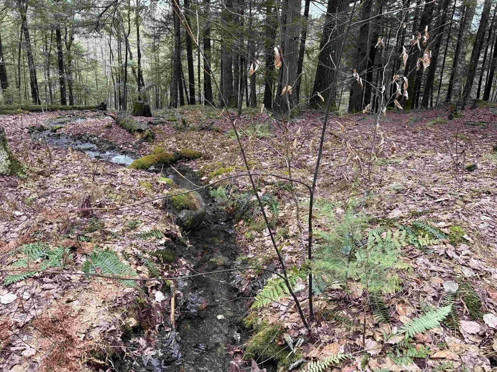 142 King Pond Road Woodbury VT 05650
