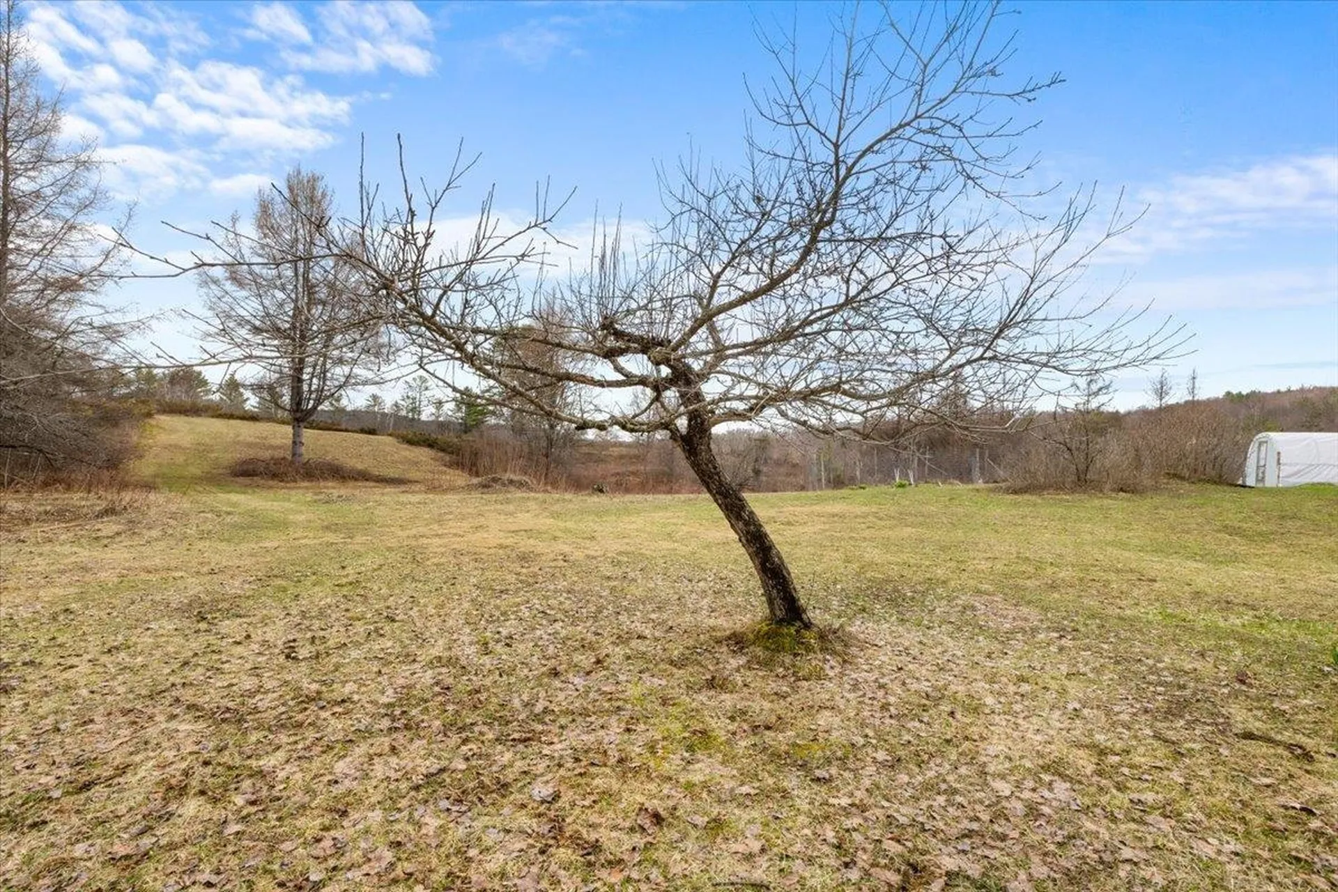 142 King Pond Road Woodbury VT 05650