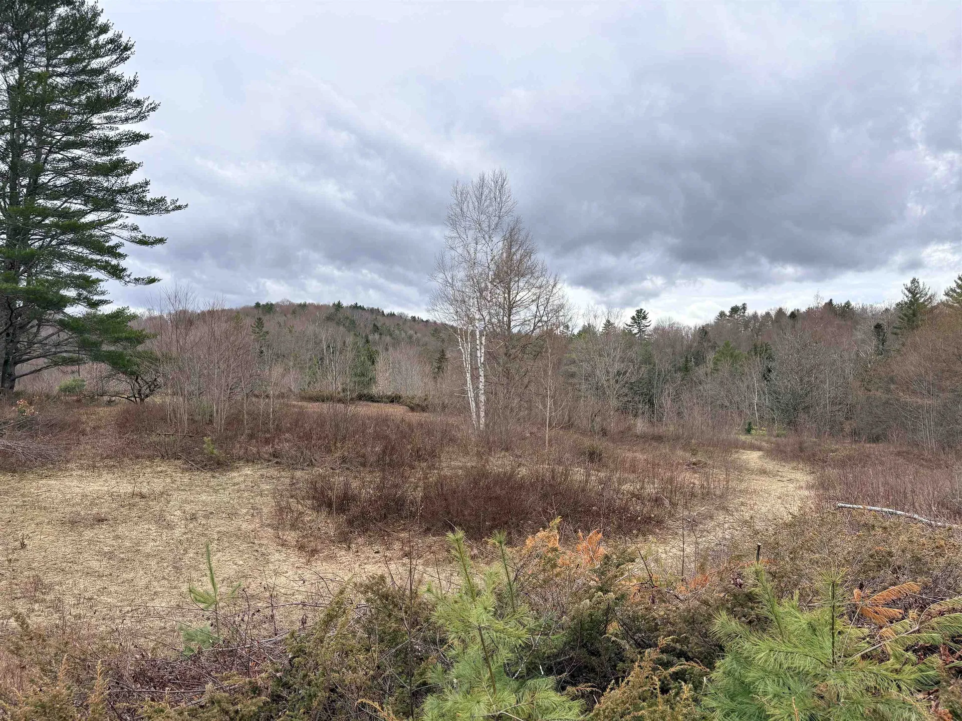 142 King Pond Road Woodbury VT 05650