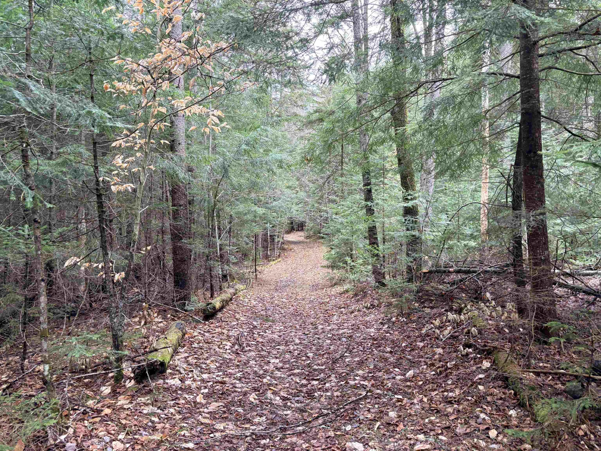 142 King Pond Road Woodbury VT 05650