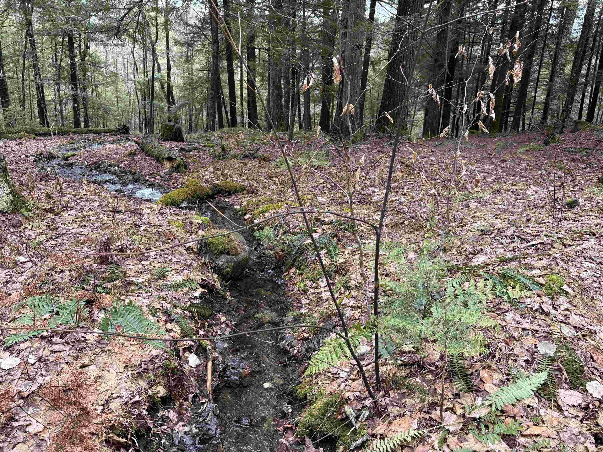 142 King Pond Road Woodbury VT 05650