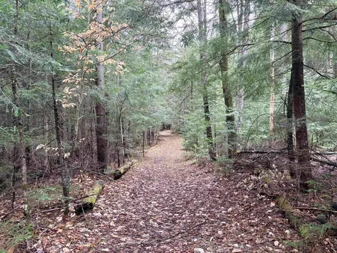 142 King Pond Road Woodbury VT 05650