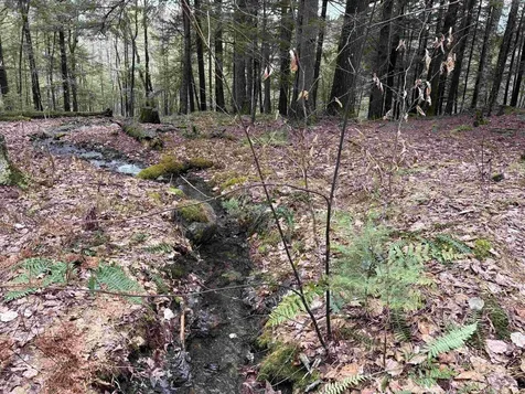 142 King Pond Road Woodbury VT 05650